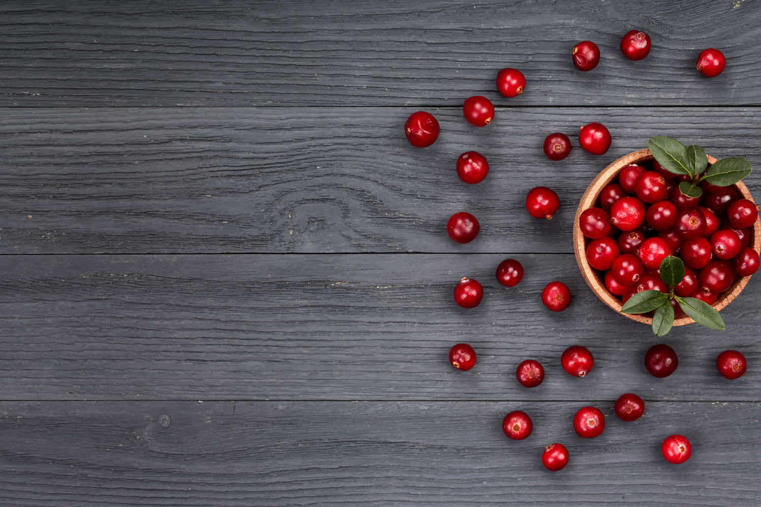 Buy Fresh and Frozen Organic Cranberries Online – Fresh Meadows Farm